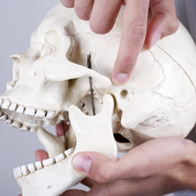 Holding a model of a skull